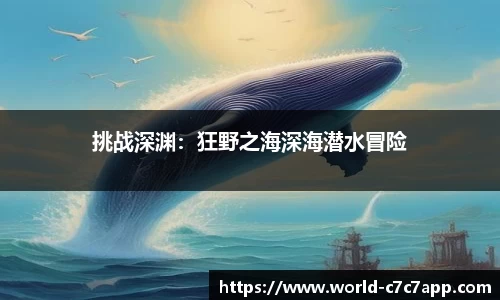 c7c7.app网页版